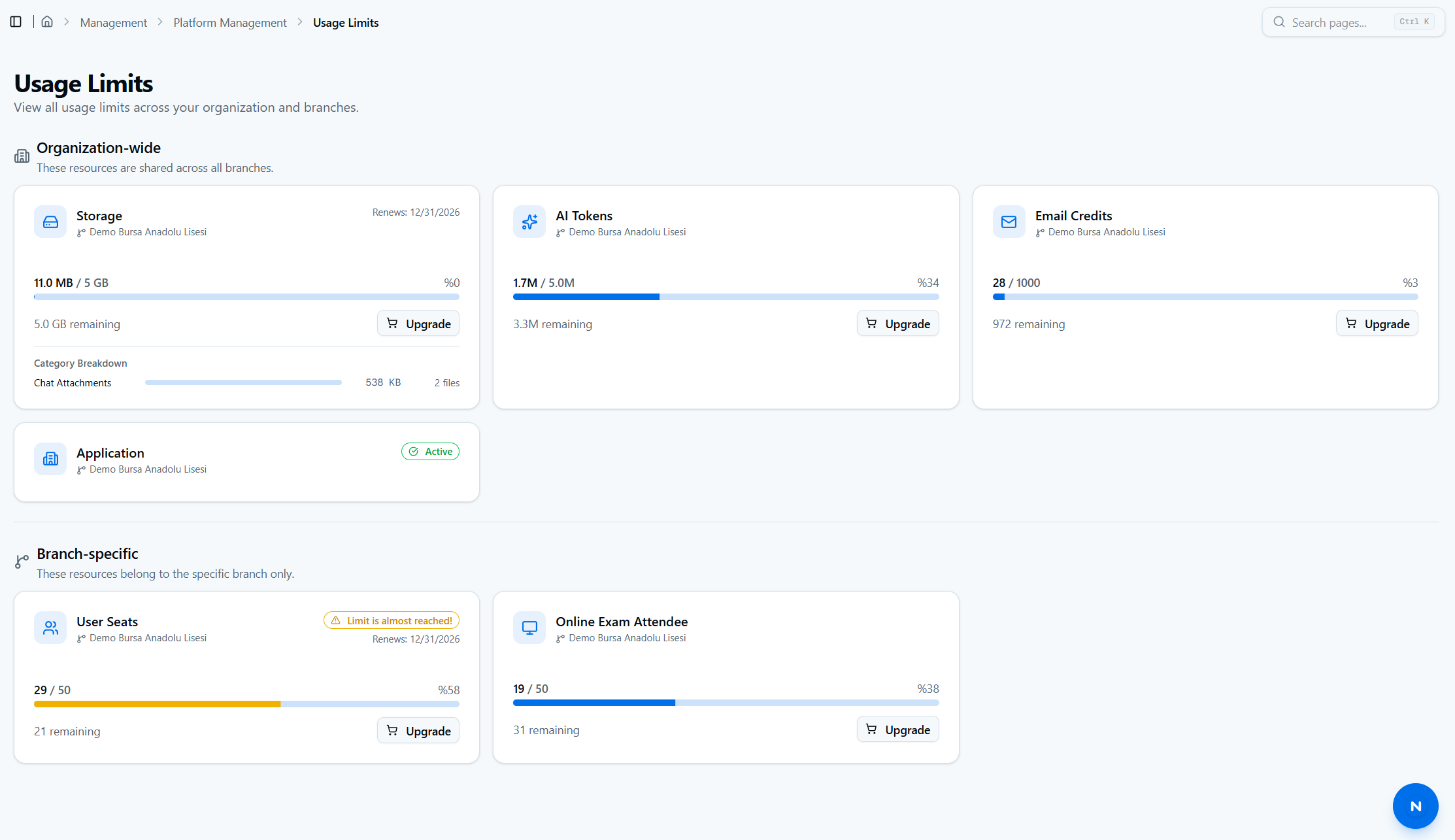 Usage-Based Subscription
